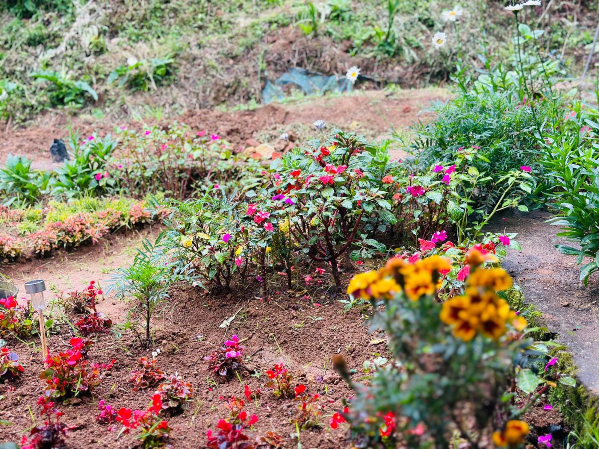 Lakeside Cottage By Clover Nuwara Eliya Extérieur photo